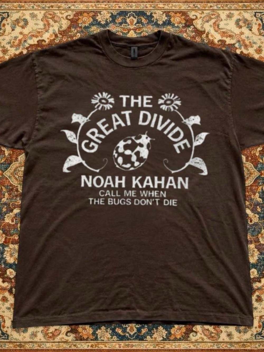Brown Noah Kahan T shirt